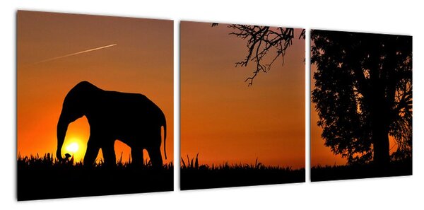 Obraz slona v prírode (Obraz 90x30cm)