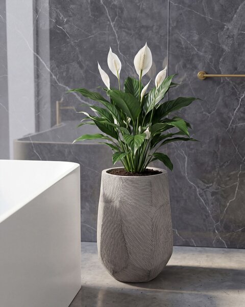 Kvetináč sivý cement sklolaminát 28 x 45 cm okrúhly tvar moderný štýl interiér exteriér