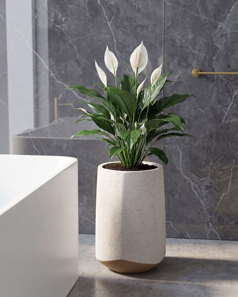 Kvetináč krémová biela cement sklolaminát 32 x 49 cm okrúhly tvar moderný štýl interiér exteriér