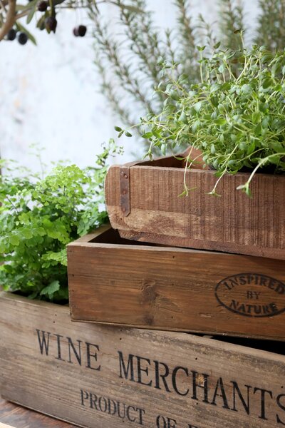 Úložný drevený box s priehradkami Nature 50 cm