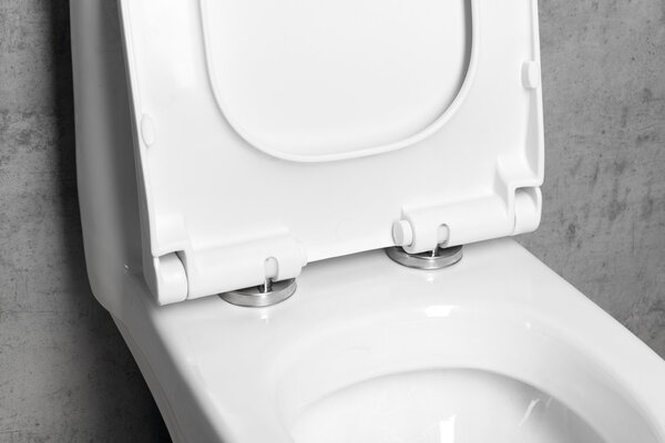 Aqualine Aqualine, PETIT detské WC kombi, zadný/spodný odpad, biela, PT520