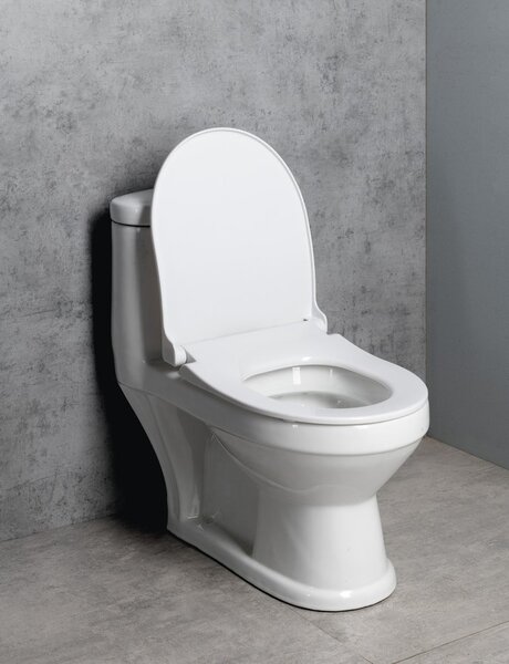 Aqualine Aqualine, PETIT detské WC kombi, zadný/spodný odpad, biela, PT520