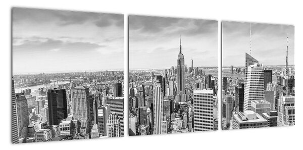 Obraz New York (Obraz 90x30cm)