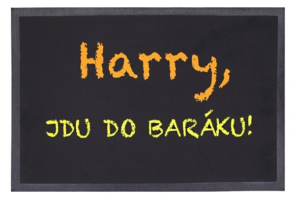 Mercury Flooring , TRHÁK: Rohožka Harry, jdu do baráku 40x60 cm, 40x60, čierna