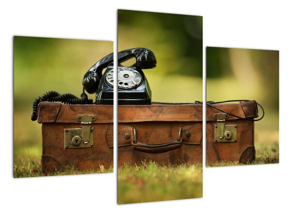 Telefón na kufri - obraz (Obraz 90x60cm)
