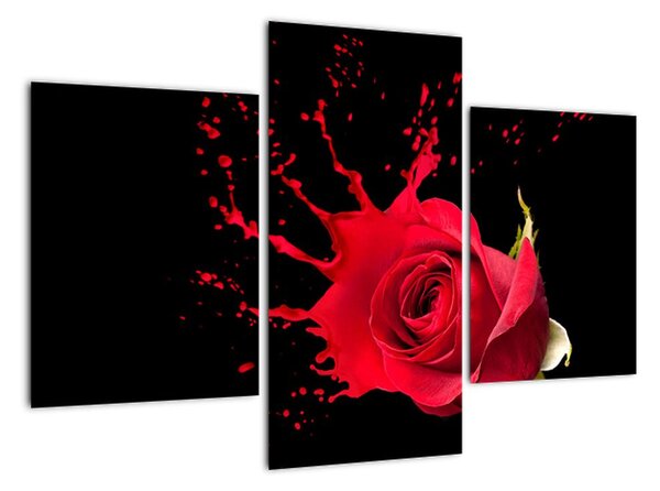 Abstraktný obraz ruža - obraz (Obraz 90x60cm)