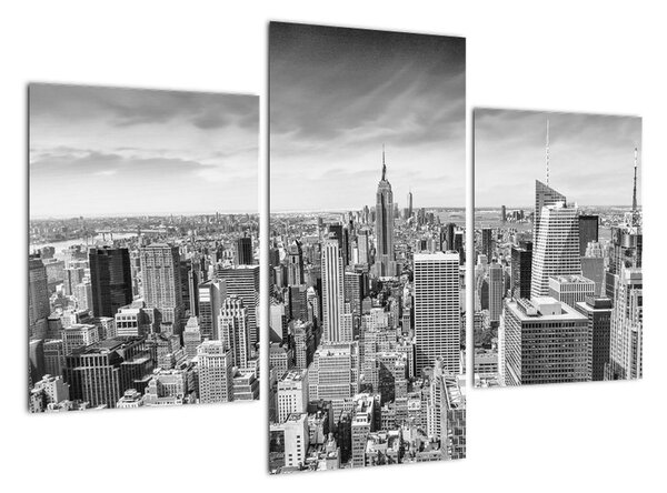 Obraz New York (Obraz 90x60cm)