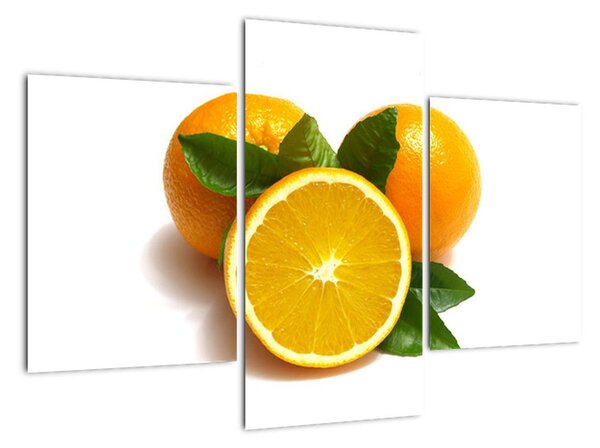 Pomaranče - obraz (Obraz 90x60cm)
