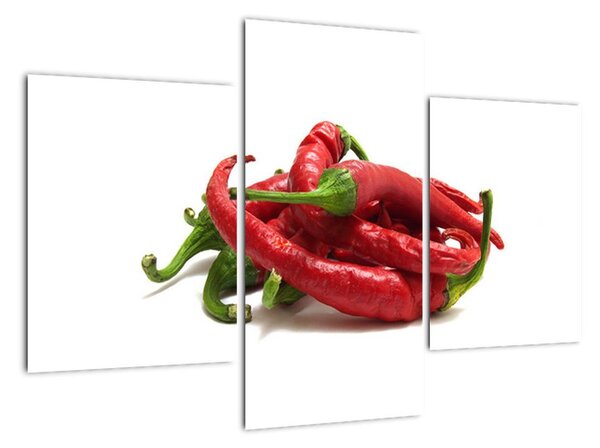 Chilli papričky, obrazy (Obraz 90x60cm)