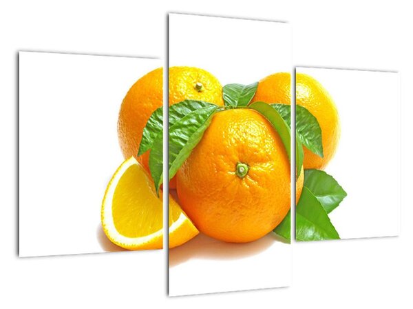 Pomaranče, obraz (Obraz 90x60cm)