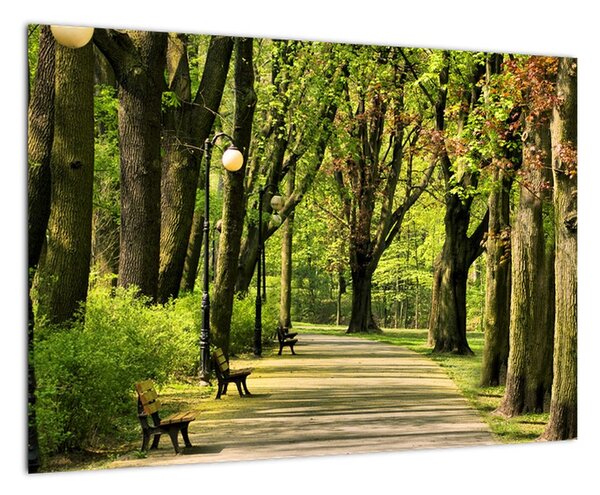 Cesta v parku - obraz (Obraz 60x40cm)