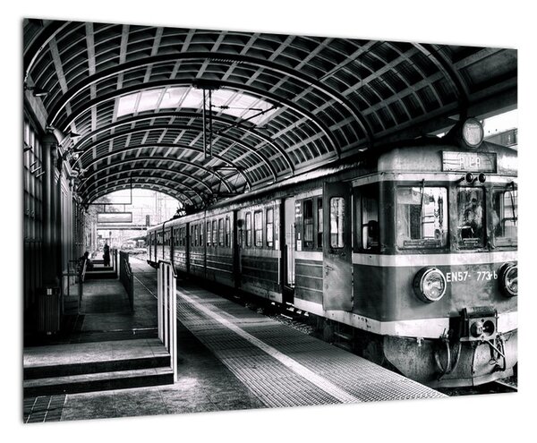 Obraz vlakovej stanice (Obraz 60x40cm)
