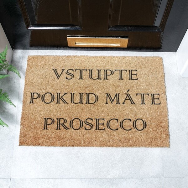 Rohožka z kokosového vlákna 40x60 cm Prosecco – Artsy Doormats