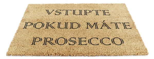 Rohožka z kokosového vlákna 40x60 cm Prosecco – Artsy Doormats
