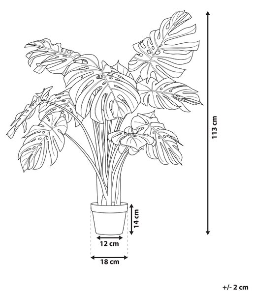 Umelá monstera zelená a čierna syntetický materiál 154 cm dekoratívne príslušenstvo