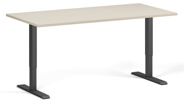 Výškovo nastaviteľný stôl, 160x80 cm, 1 motor, čierna podnož, breza
