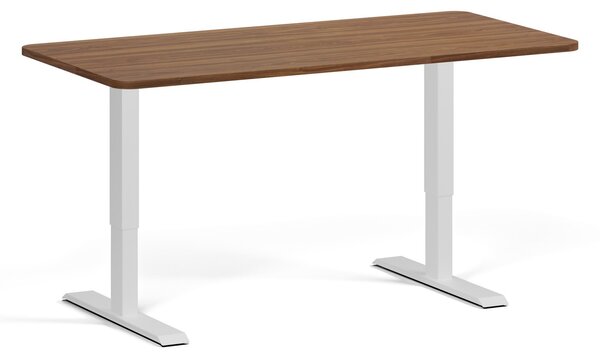 Výškovo nastaviteľný stôl, 160x80 cm, 1 motor, zaoblené rohy, sivá podnož, orech