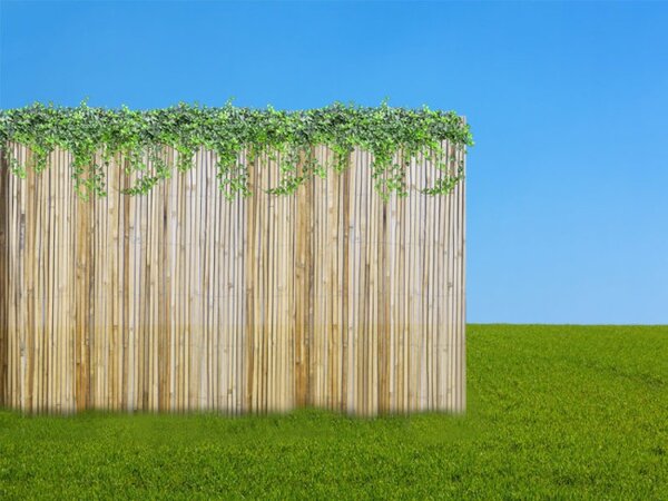 Bambusová zástena 1,2x3 m