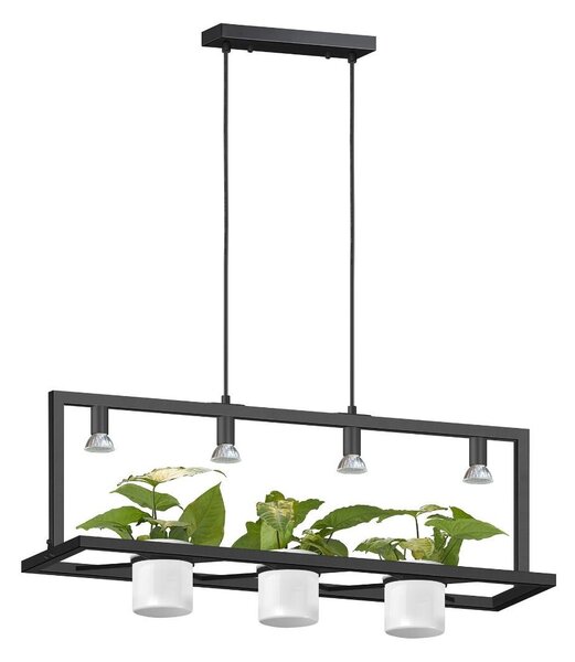 Zuma Line P0536-04B-P7AB závesné stropné svietidlo PLANTER | 7W GU10