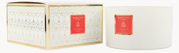 Vonná sviečka's 3 knôtmi Cinnamon Spice (Cinnamon)