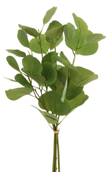 Zelený Eucalyptus - Zväzok umelej dekoratívne rastliny - 50 cm - J-Line by Jolipa