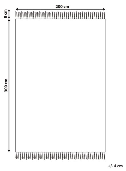 Kelímový koberec viacfarebný vlna 200 x 300 cm ručne tkaný orientálny vzor so strapcami tradičná obývačka spálňa