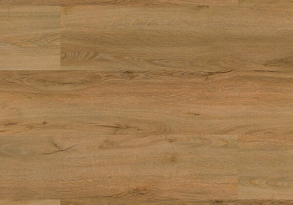 FLOOR FOREVER Authentic oak Dub kráľovský 1020 - 3.34 m2