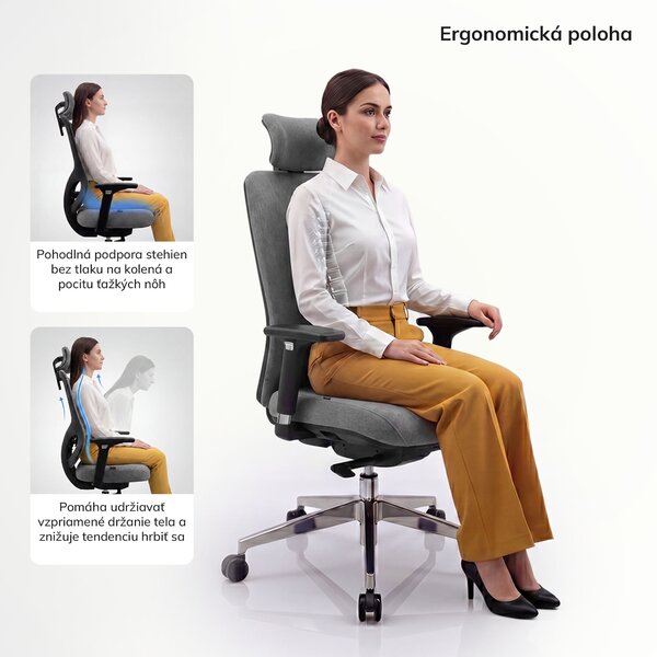 Ergonomická kancelárska stolička tmavosivá AXIS