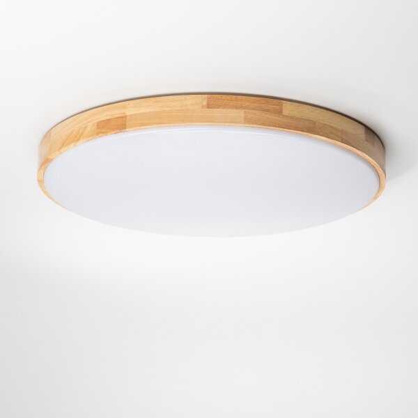 Brilagi - LED stmievateľné stropné svietidlo PINE LED/60W/230V + diaľkové ovládanie