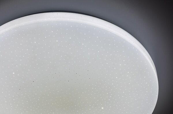 Rabalux 71444 - LED stmievateľné stropné svietidlo DANNY 2 LED/12W/230V 3000-6500K pr. 26 cm, s diaľkovým ovládaním