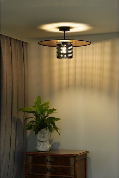 Duolla - Prisadený luster TOKYO RATTAN 1xE27/15W/230V pr. 50 cm zlatá/čierna