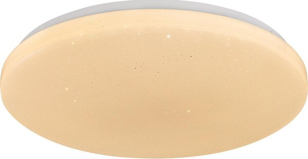 Rabalux 71444 - LED stmievateľné stropné svietidlo DANNY 2 LED/12W/230V 3000-6500K pr. 26 cm, s diaľkovým ovládaním