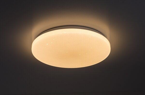Rabalux 71444 - LED stmievateľné stropné svietidlo DANNY 2 LED/12W/230V 3000-6500K pr. 26 cm, s diaľkovým ovládaním