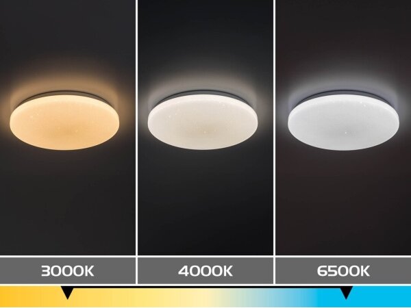 Rabalux 71444 - LED stmievateľné stropné svietidlo DANNY 2 LED/12W/230V 3000-6500K pr. 26 cm, s diaľkovým ovládaním