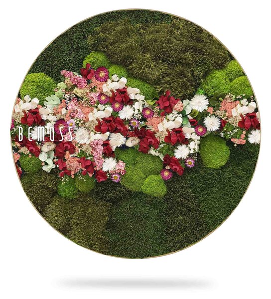 Machový obraz kruh RASTLINY Acebo PINK - Priemer 40 cm
