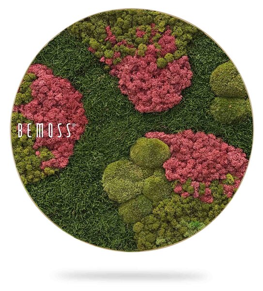 Machový obraz kruh BEMOSS® ORTHO BURGUNDY - Priemer 40 cm
