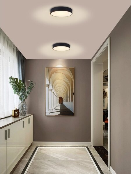 Immax NEO 07201L-LED Stmievateľné stropné svietidlo RONDATE 28W/230V čierna Tuya+DO