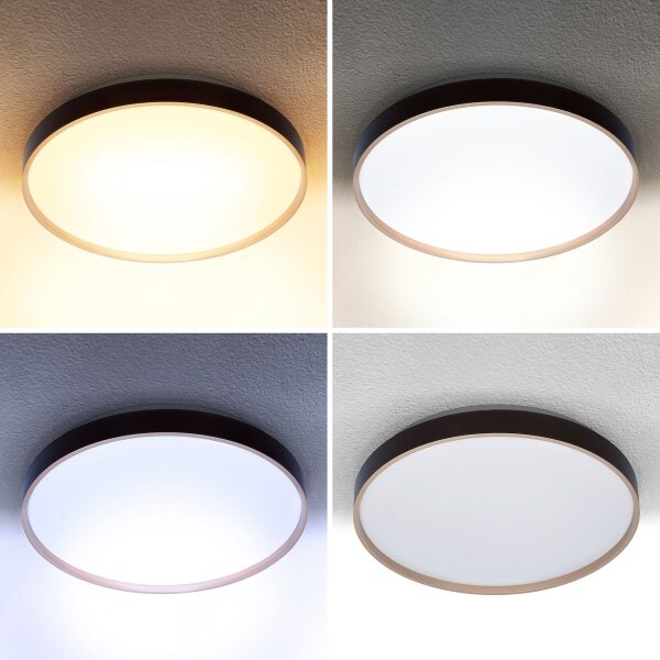 Brilagi - LED Stmievateľné stropné svietidlo CALA LED/48W/230V 3000-6500K + DO
