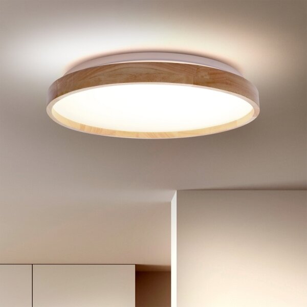 Brilagi - LED stlmiteľné stropné svietidlo ALSON LED/48W/230V 3000-6500K + DO