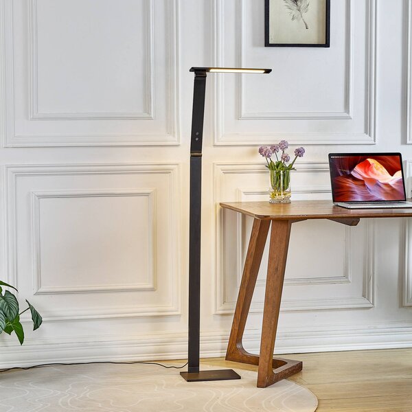 Stmievateľná stojaca LED lampa Salome farba svetla, Čierna, Pracovňa / Kancelária, Hliník, Moderný, Stolová lampa