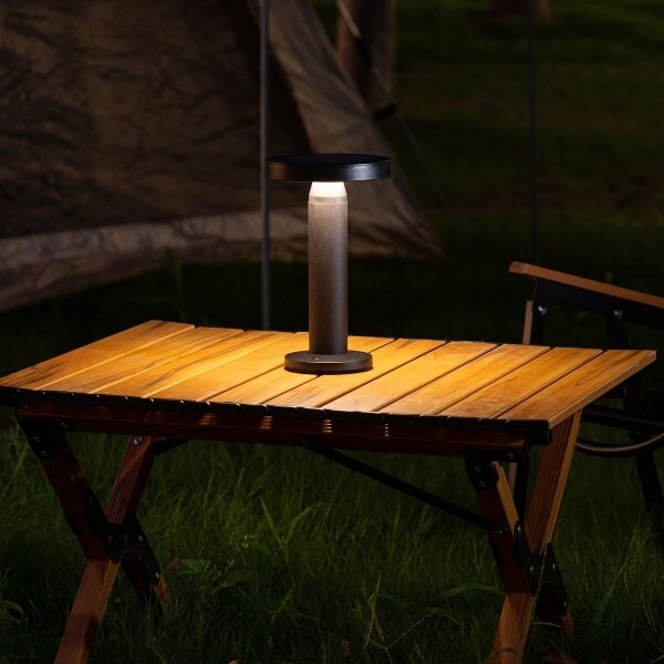 Zuma Line DT33611 - LED Solárna lampa CARLI LED/2W/2000 mAh IP44 čierna