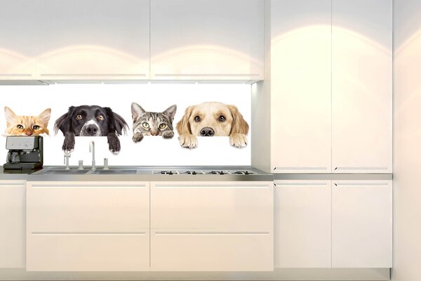 DIMEX | Fototapeta do kuchyne Mačky a psy KI-180-175 | 180 x 60 cm | biela, šedá, čierna, béžová