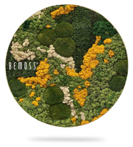 Machový obraz kruh BEMOSS® ORTHO YELLOW - Priemer 40 cm