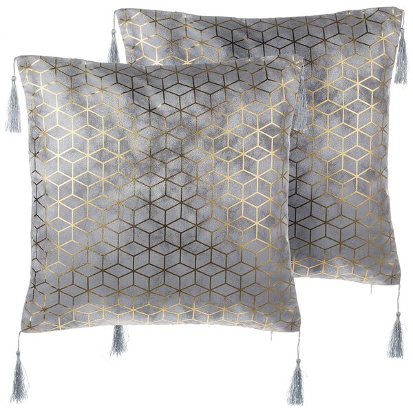Sada 2 dekoratívnych vankúšov strieborný žakárový vzor kocky 45 x 45 cm s geometrickou potlačou a strapcami