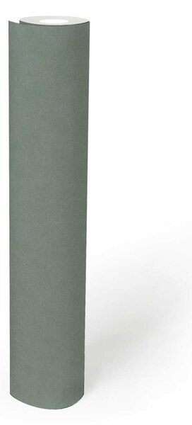 A.S. Création | Vliesová tapeta na stenu French Affair 39938-7 | 0,53 x 10,05 m | zelená