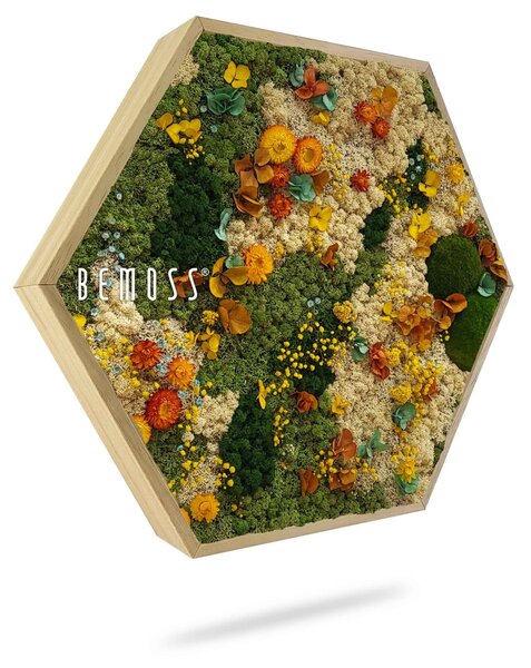 Machový Hexagon RASTLINY Cadalso - Priemer 30 cm (v najširšom mieste šesťuholníka)
