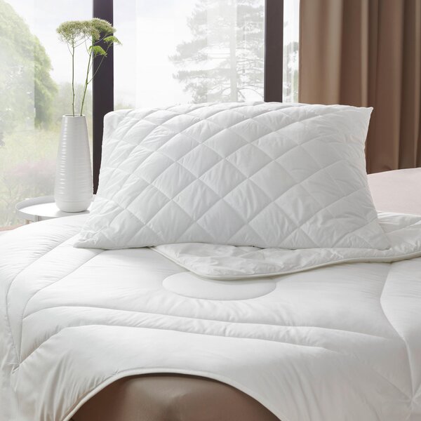 VANKÚŠ, 70/90 cm Sleeptex - Prikrývky & vankúše