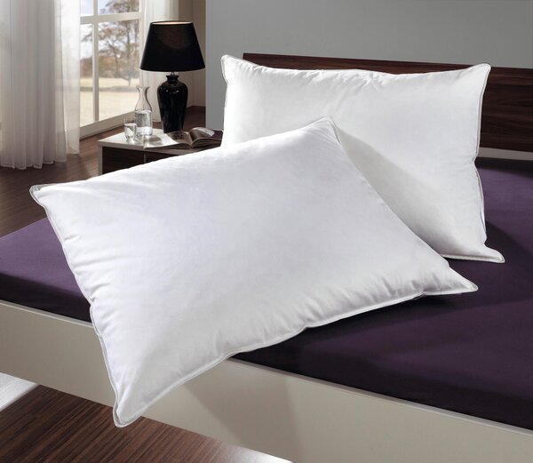 VANKÚŠ, 70/90 cm Sleeptex - Prikrývky & vankúše