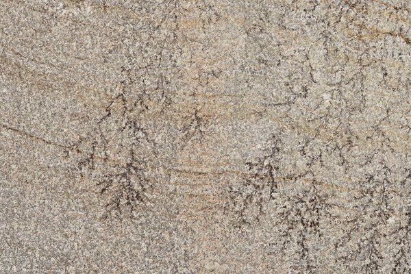 Trail18 QUAR BIA18 23 20x30 R