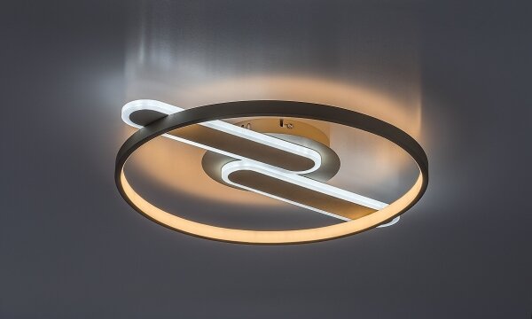 Rabalux 71468 - Stmievateľné LED stropné svietidlo BRANTIEL LED/55W/230V 3000-6000K 53x45 cm + diaľkové ovládanie